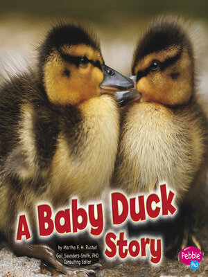 cover image of A Baby Duck Story